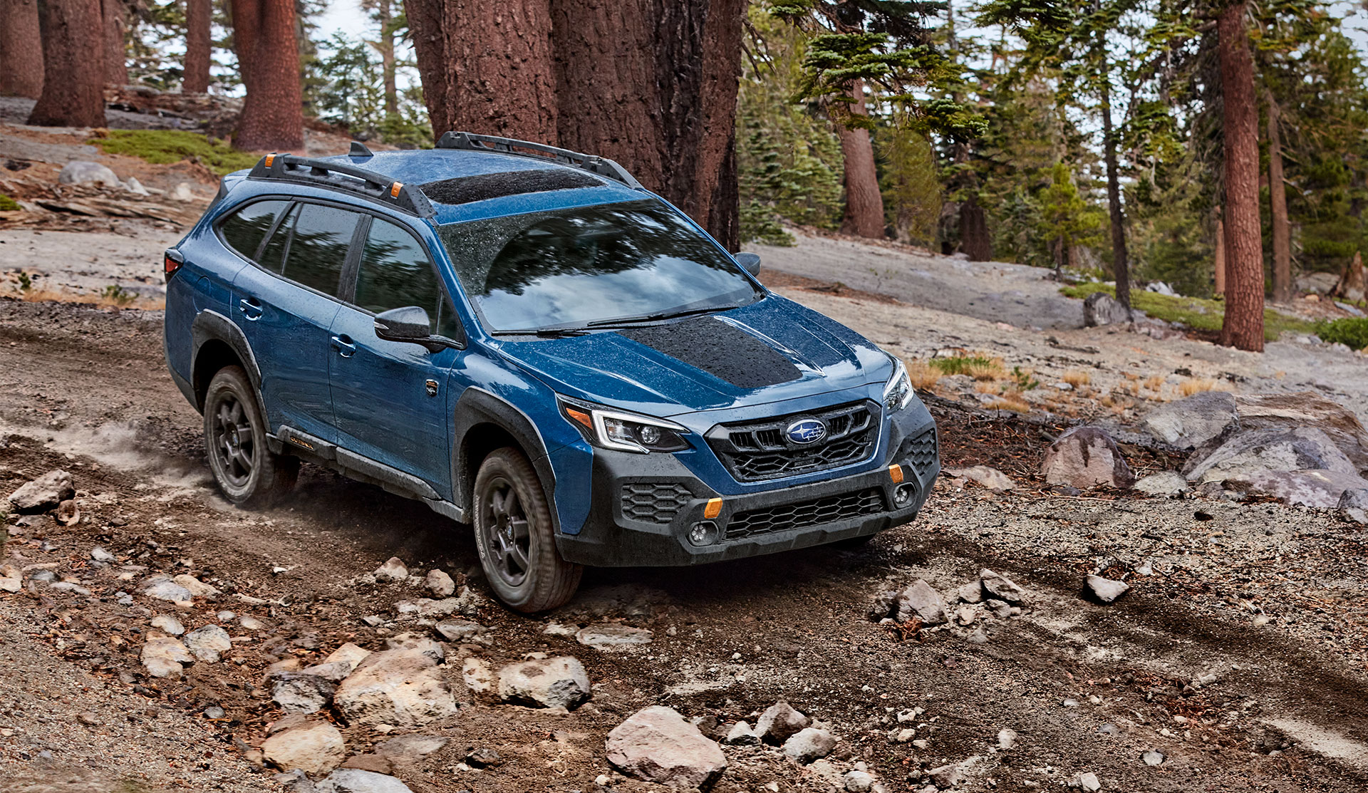 Subaru Outback Wilderness 2025 Outback Wilderness 2025 parcourant un sentier hors piste, sous la pluie.